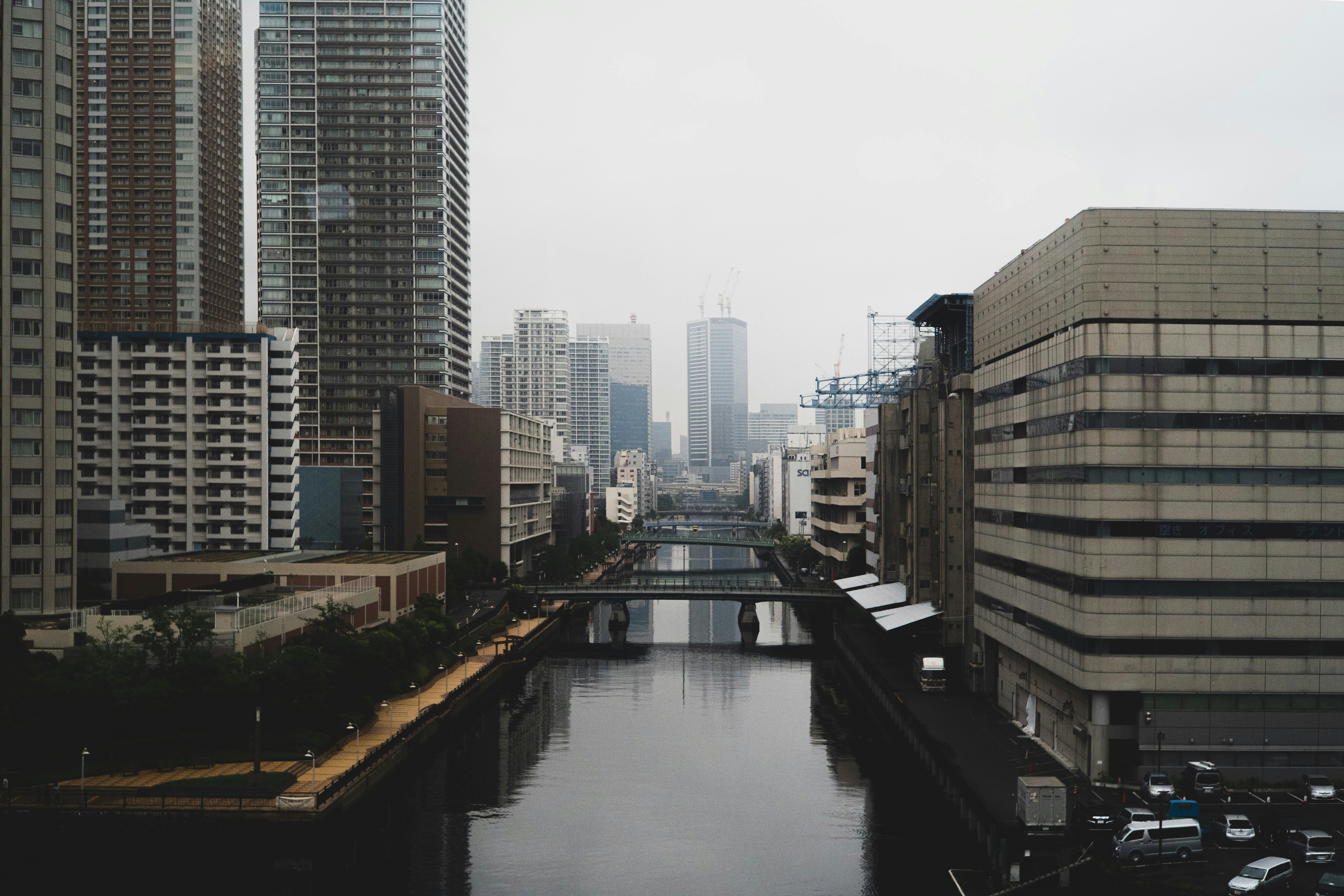 city with high-rise buildings viewing lake during daytime