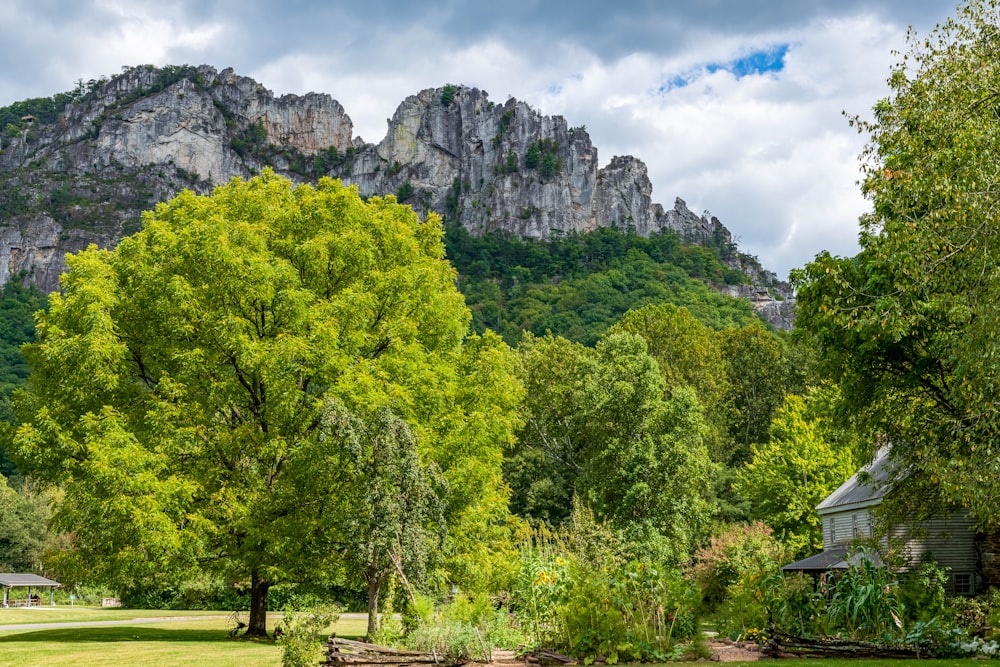 Seneca Rocks Wv >> Seneca Rocks Wv Usa Pictures Download Free Images On Seneca Rocks Wv >> Seneca Rocks Wv Usa Pictures Download Free Images On