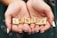 Hands are gently cupping a set of wooden Scrabble tiles spelling out the word 'SENIOR'. The tiles have a light wood grain finish, and the hands have neatly manicured nails with white polish, set against a blurred green background.