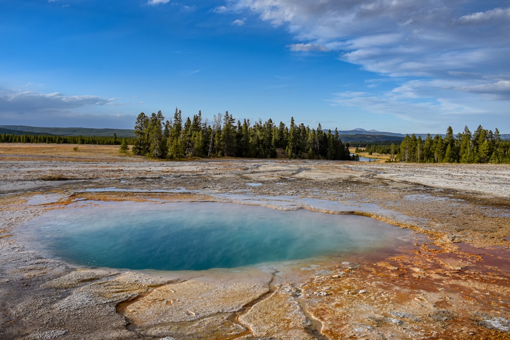 geyser viewing green trees under blue and white skies during daytime