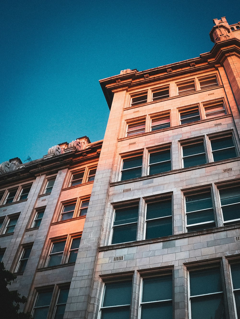 brown concrete building