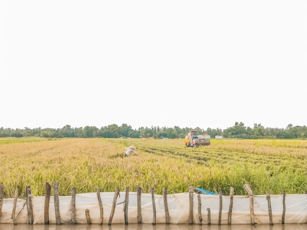 Raccolta di attrezzature agricole marroni in risaia durante il giorno