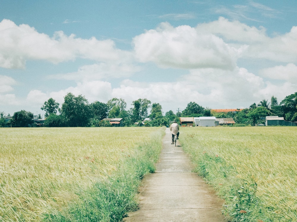 man riding bike on pathway in the middle of plant field