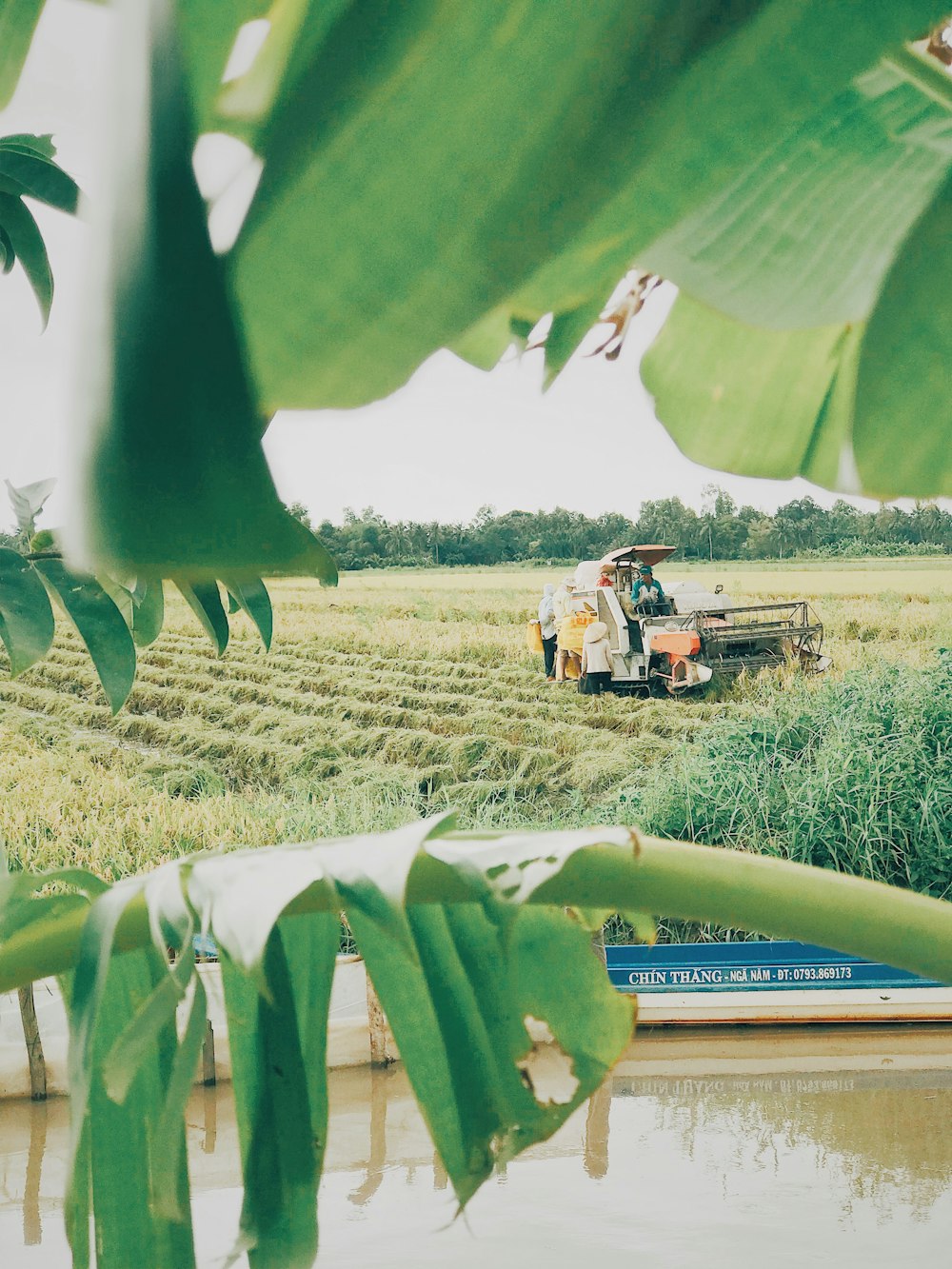 harvester machine on plant field during day