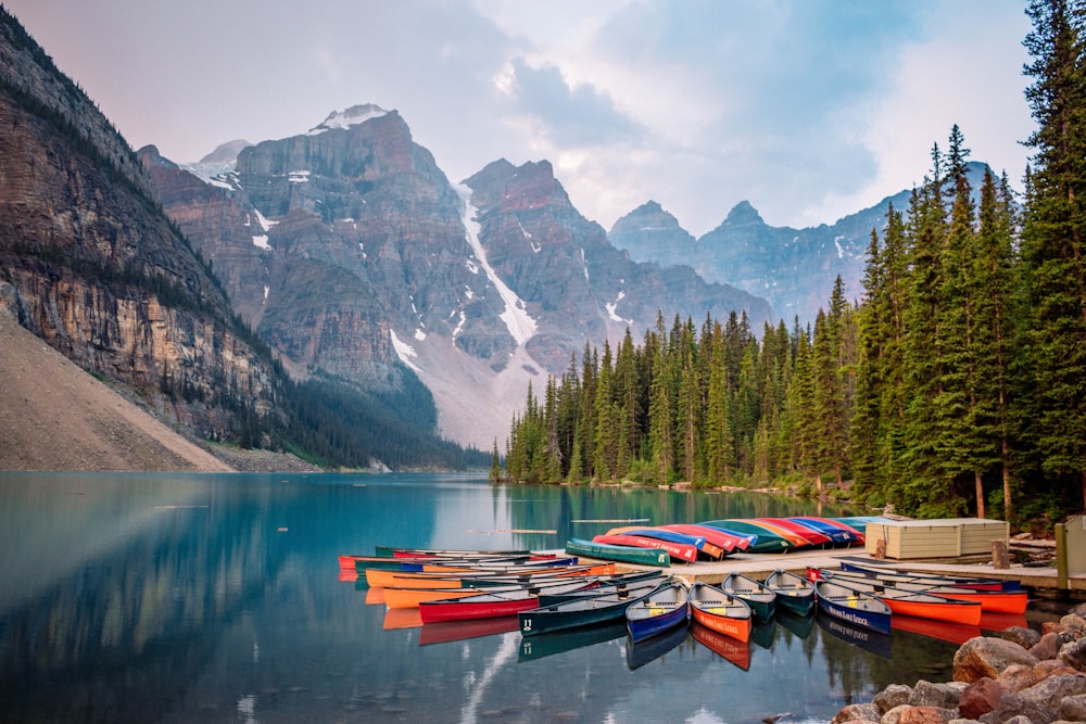 boats on lake