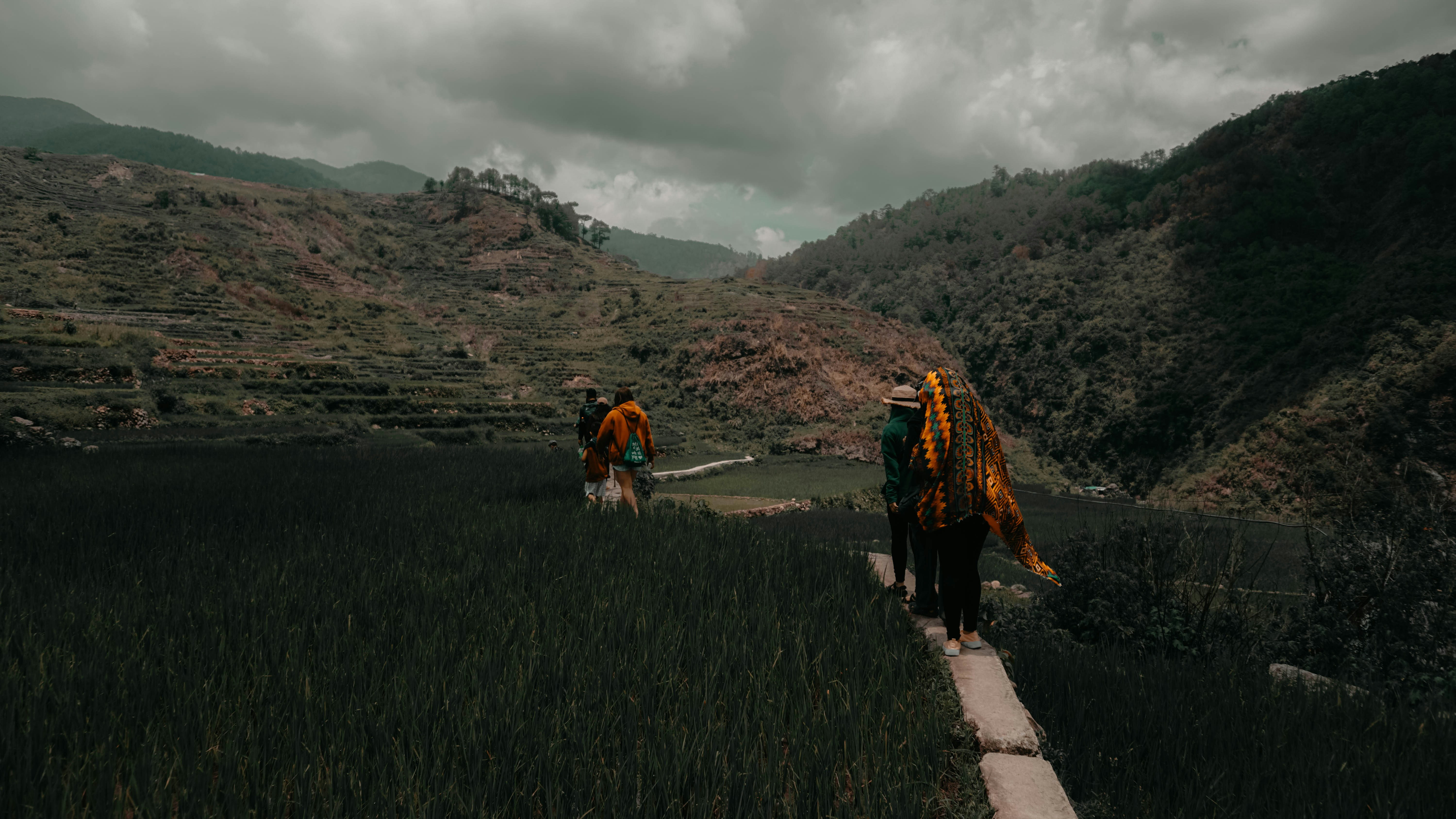 four people near grass field