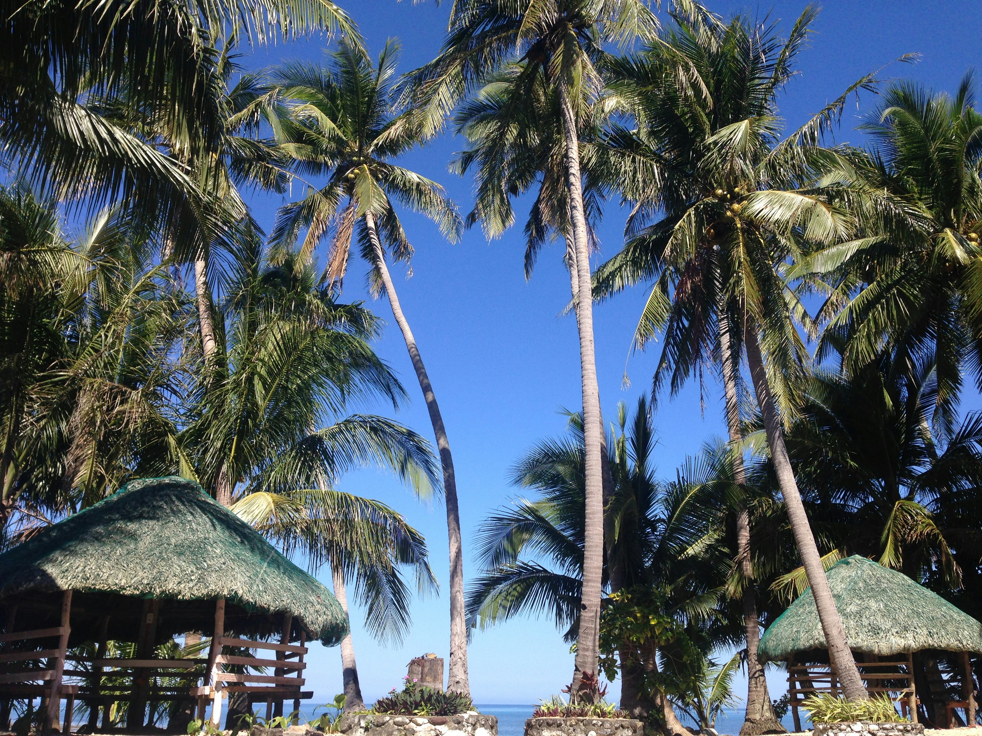 Photo by joyrantonio