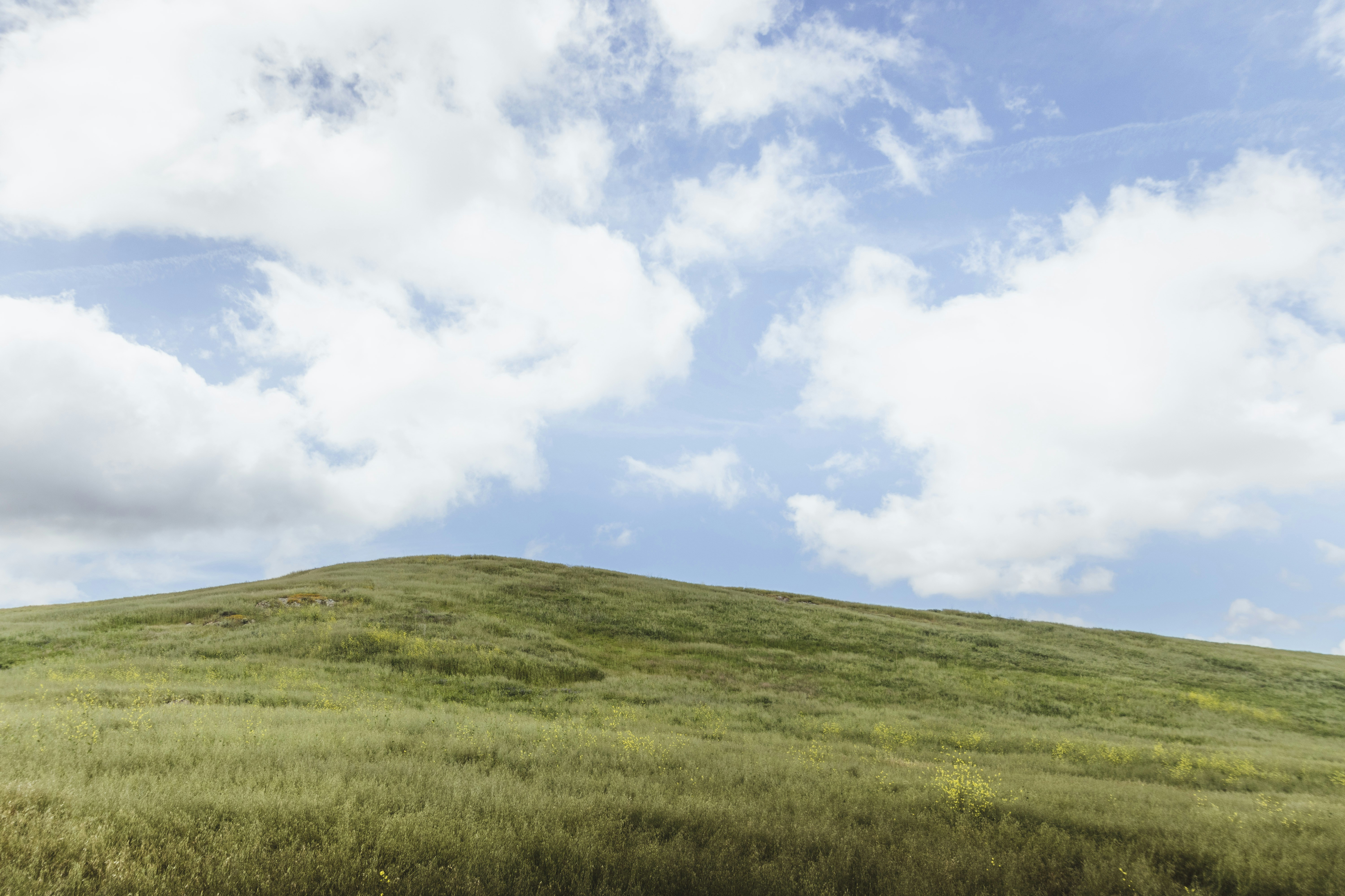 Photo by edgarmendez