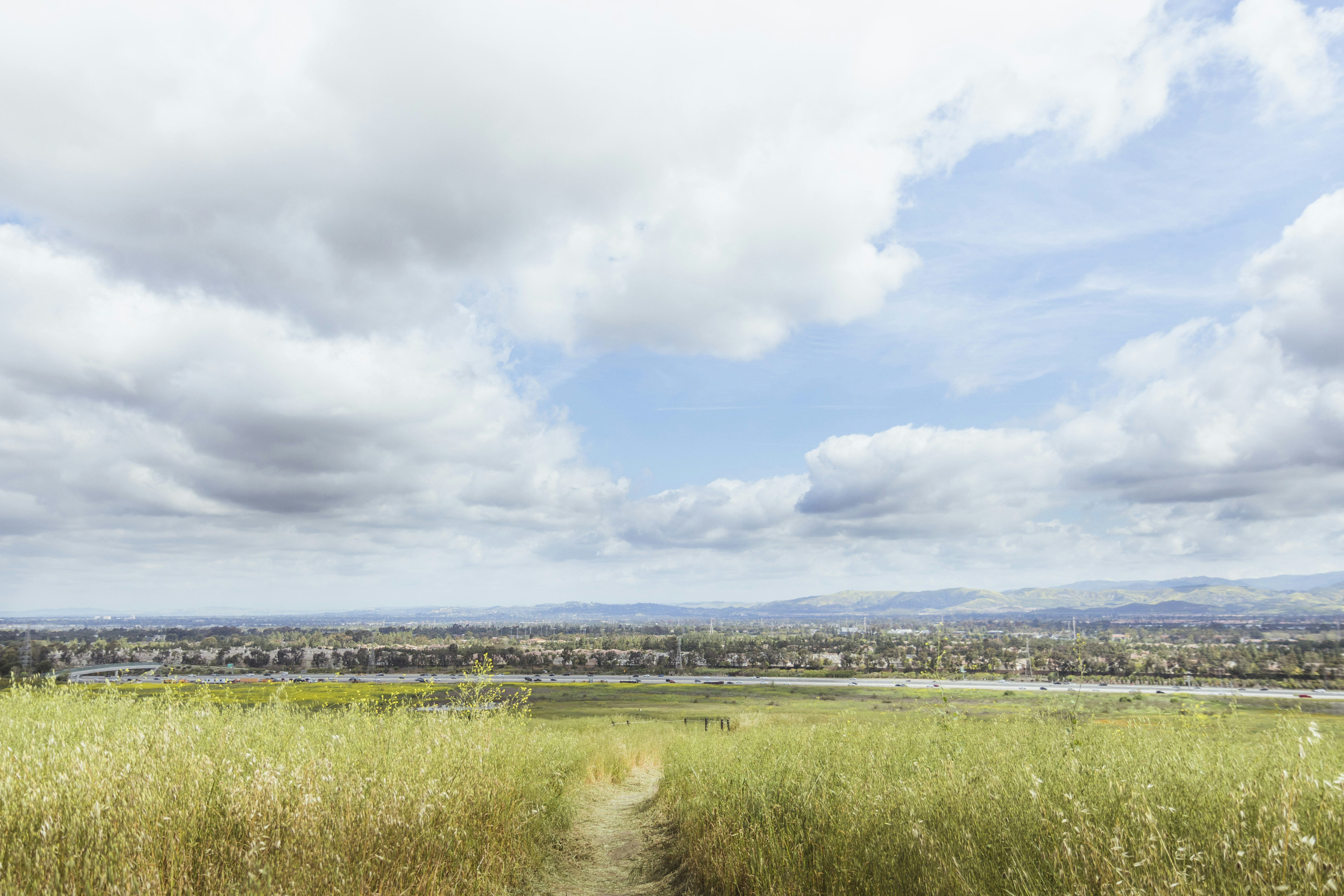 Photo by edgarmendez