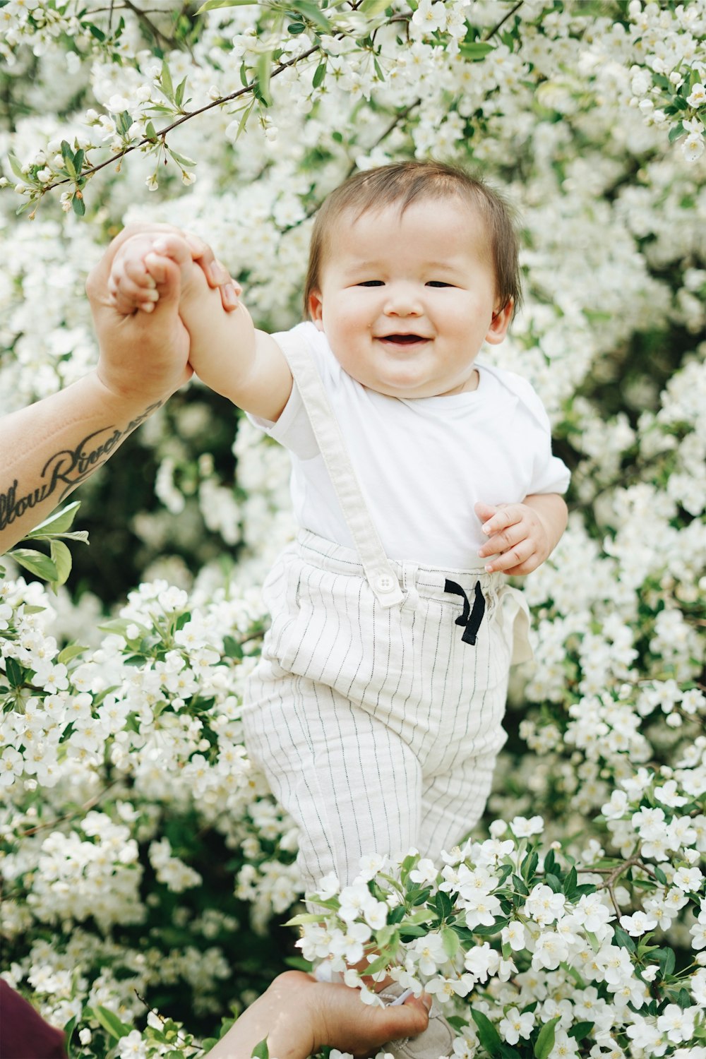 baby near white petaled flowers