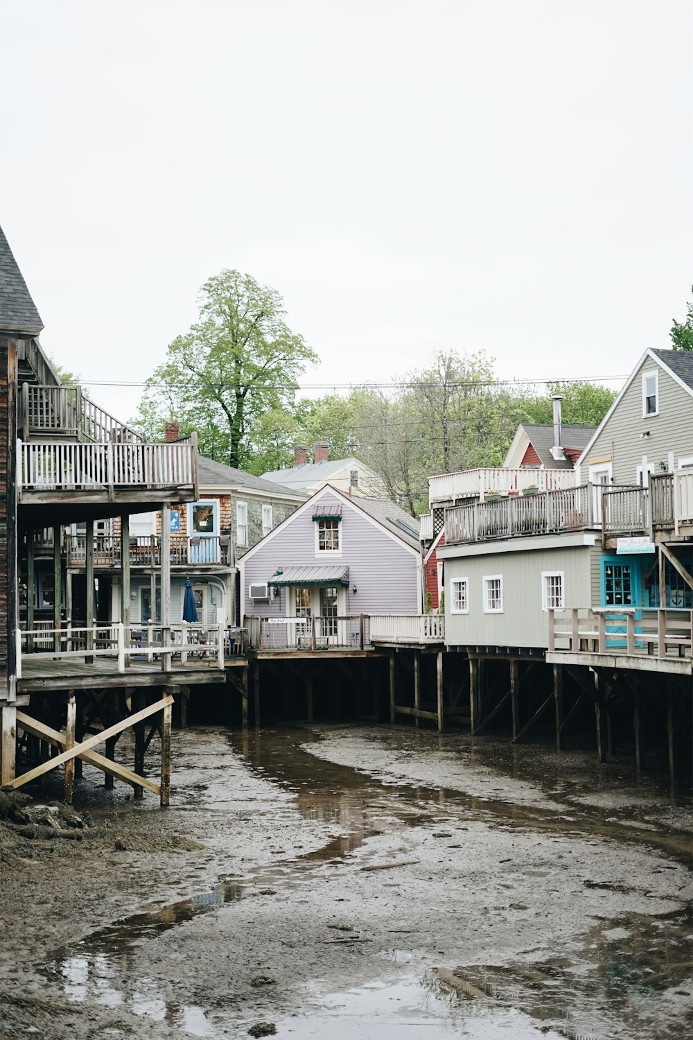 white wooden houses near river surrounded with tall and green trees