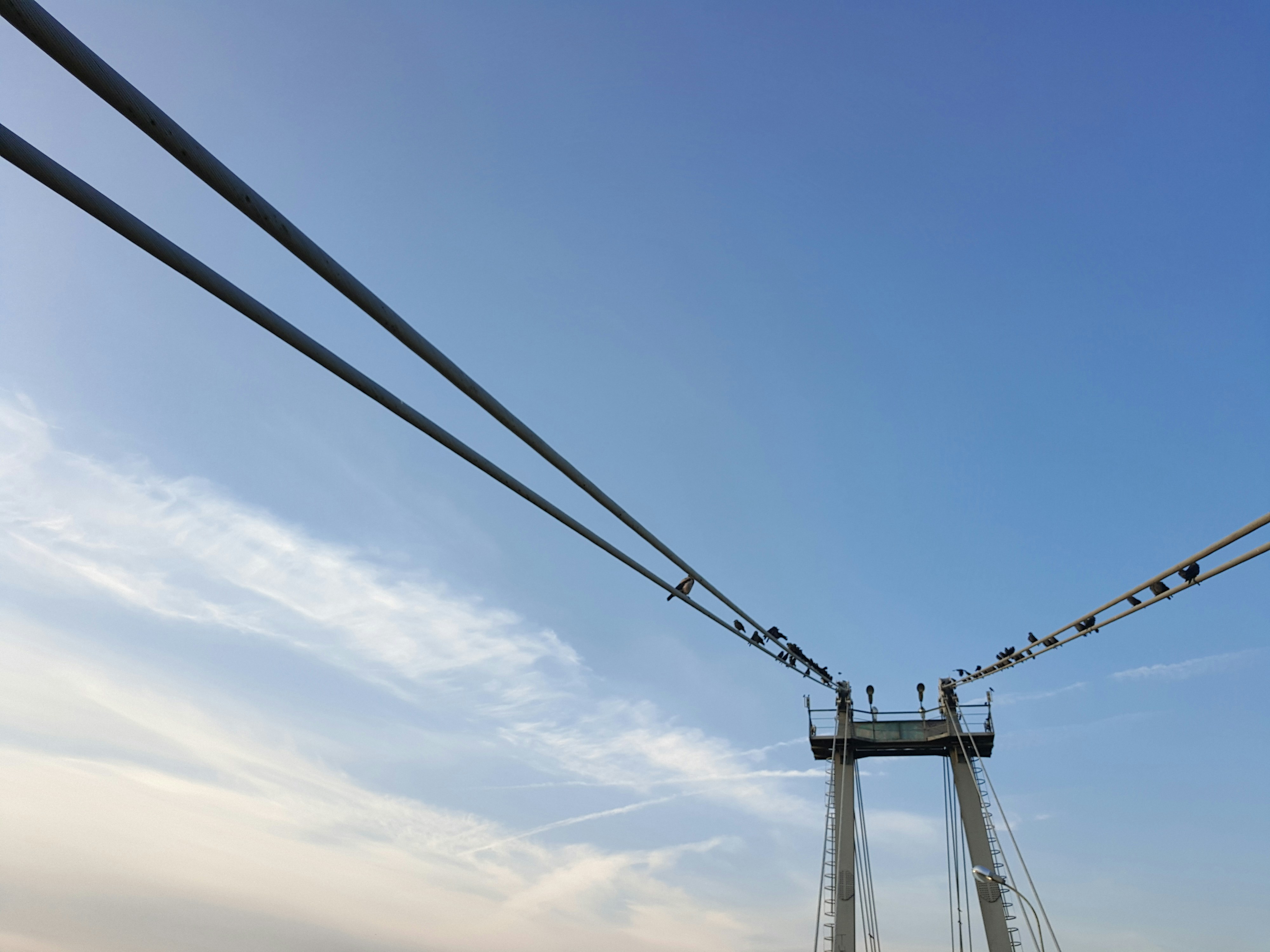 Photo by juliacertain