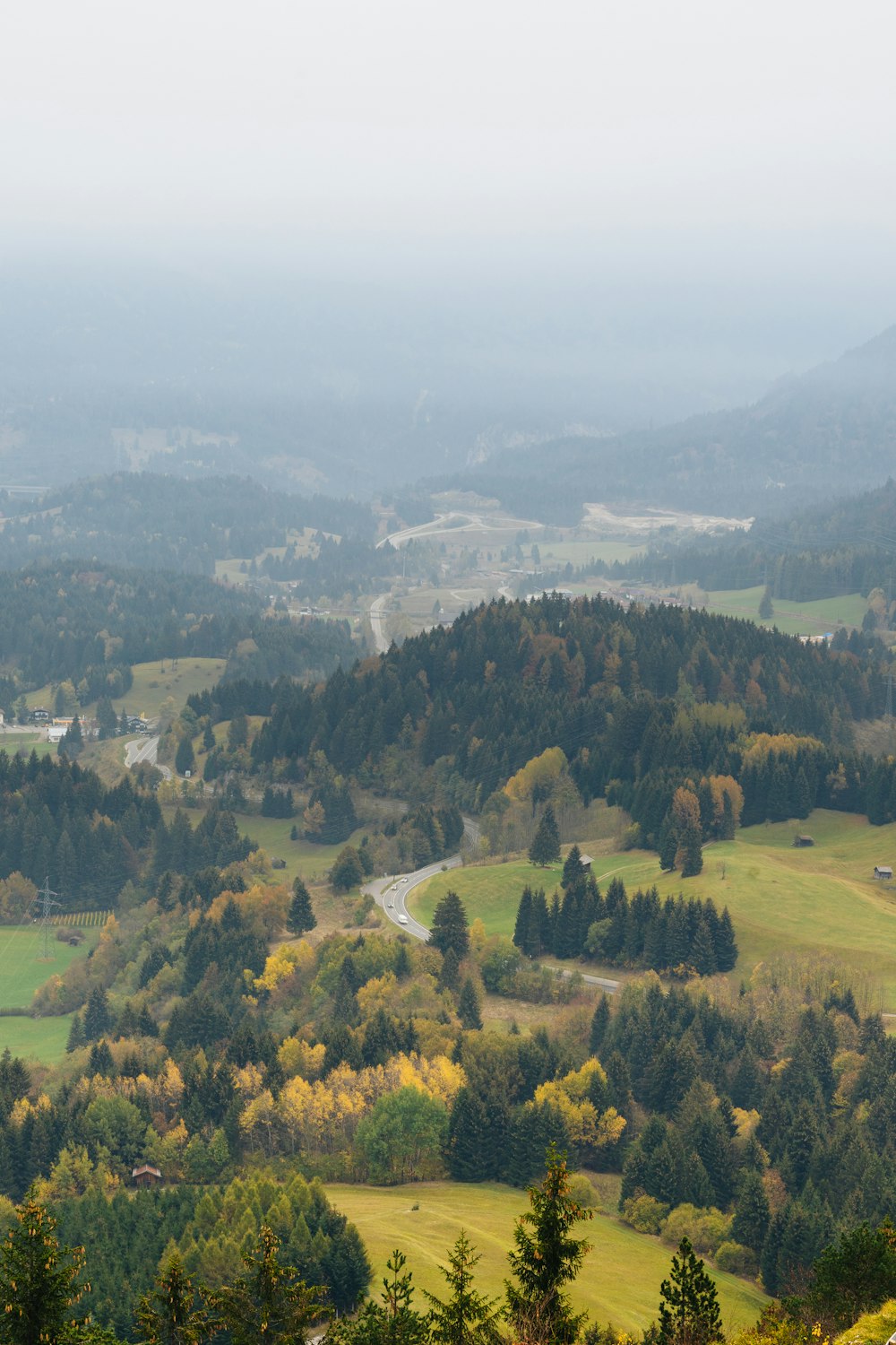 aerial photography of green trees