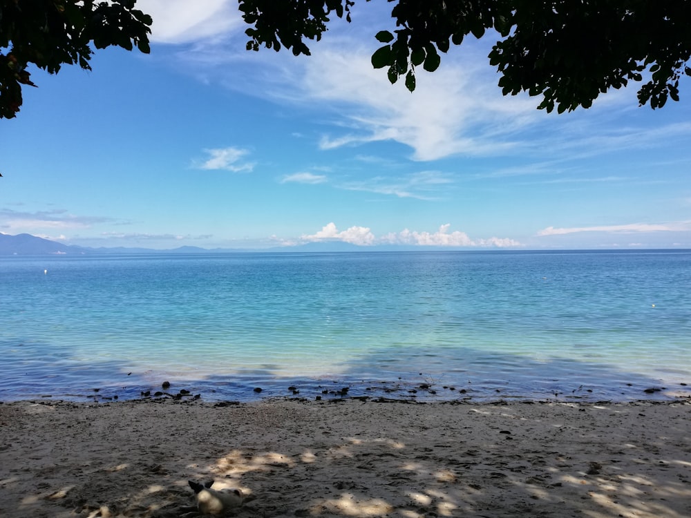 calm sea during daytime