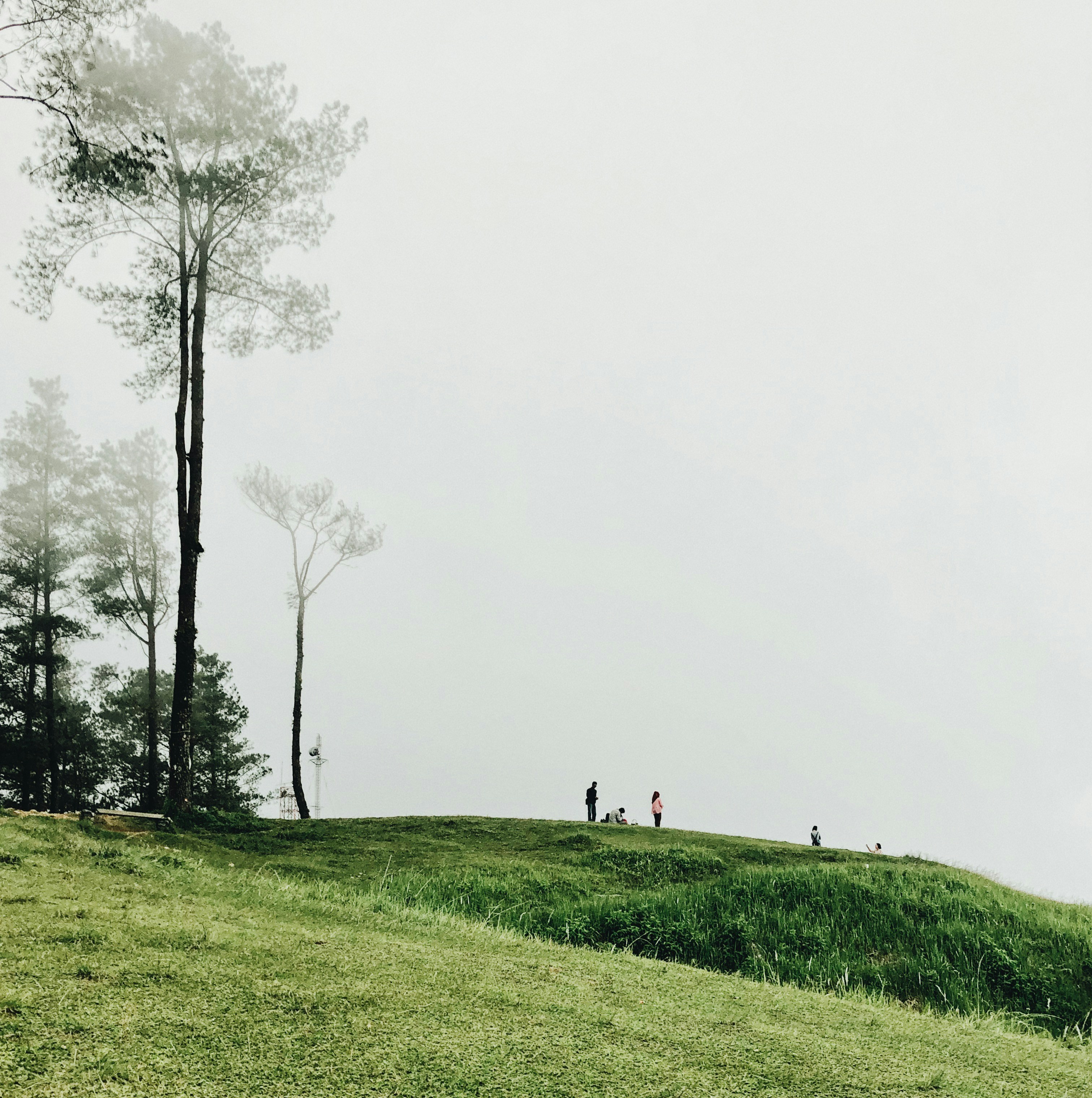 Photo by inglandjanun