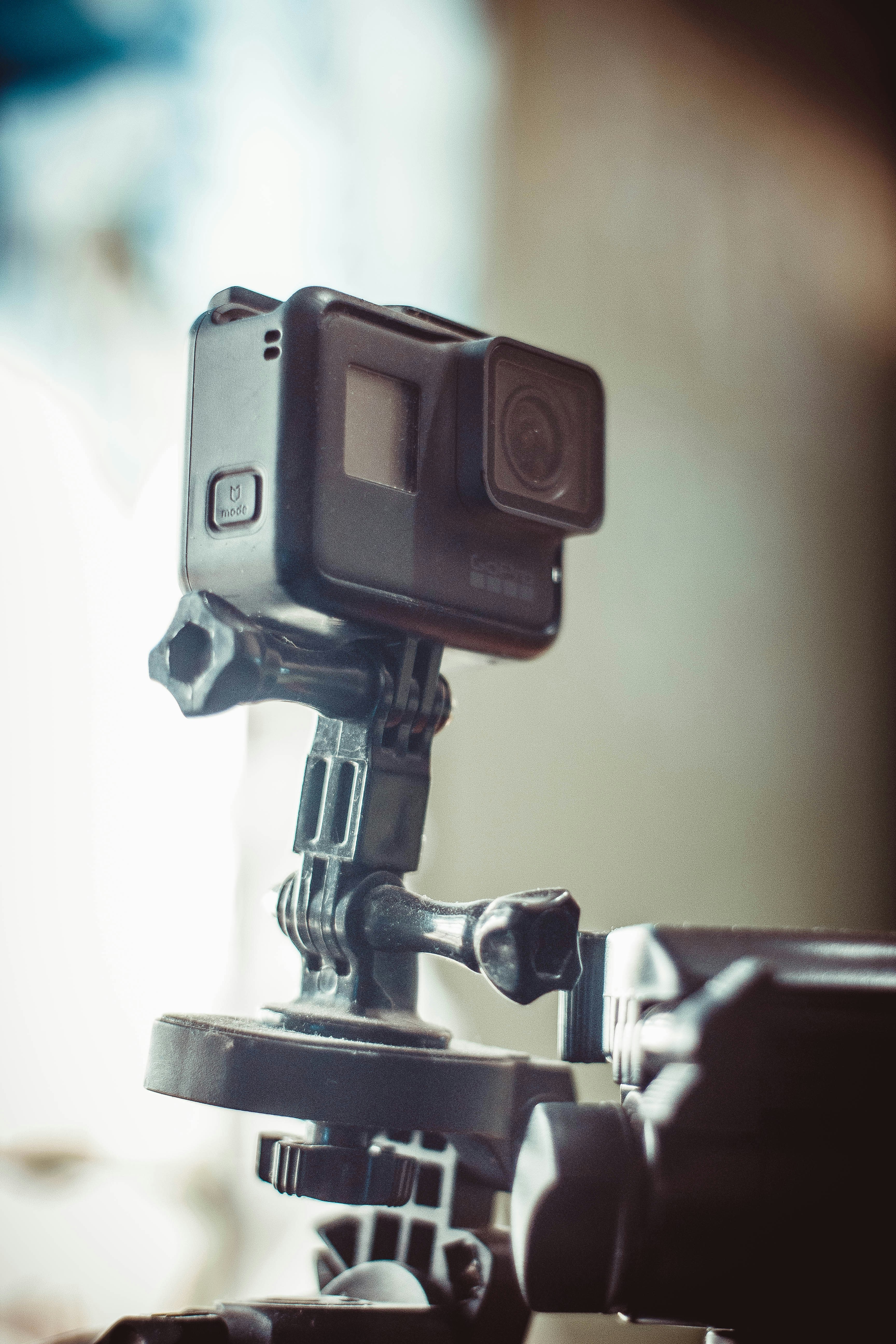 Photo by jeanmich312