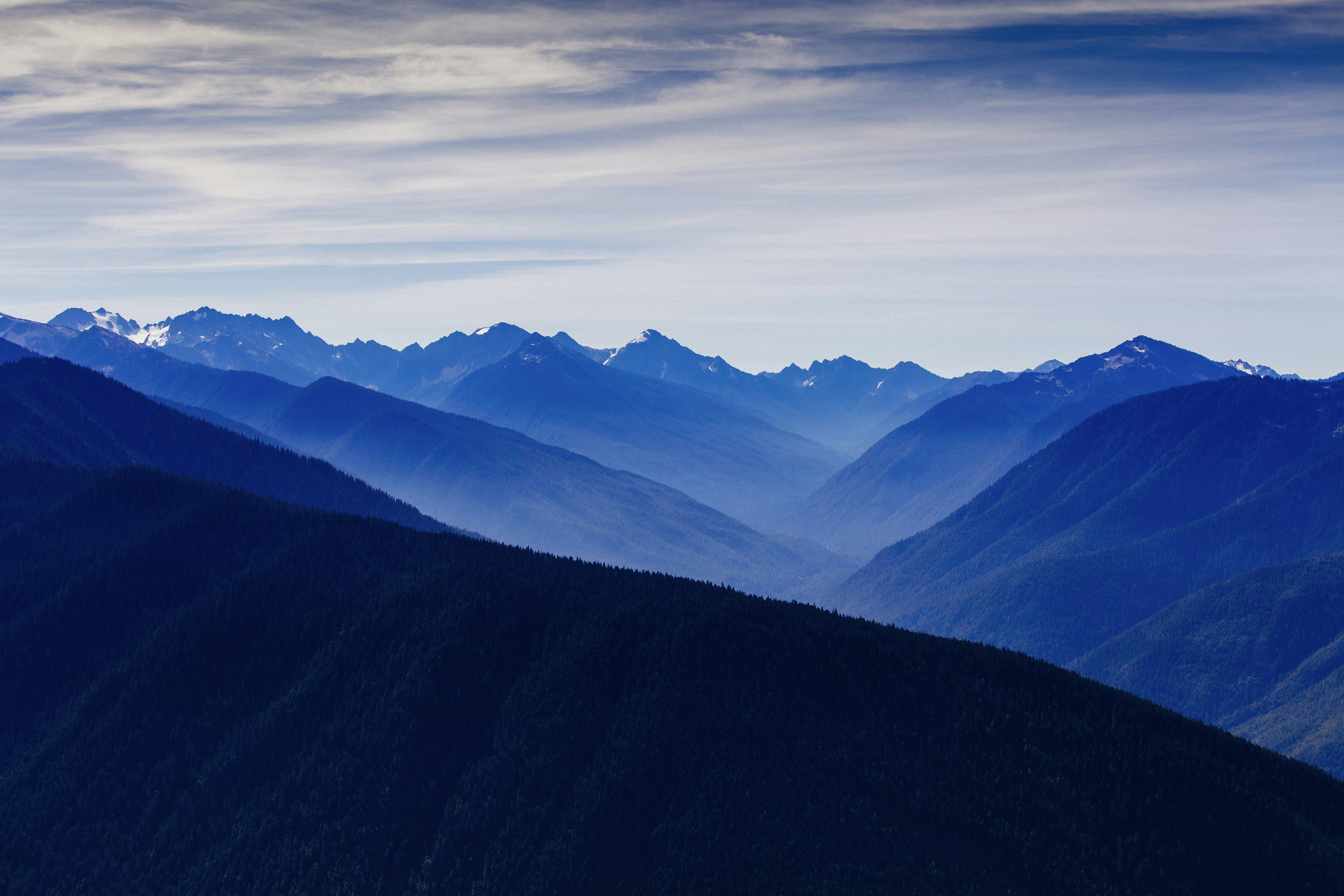 2. 目の下のクマ解消のための美容鍼：効果と方法を詳述