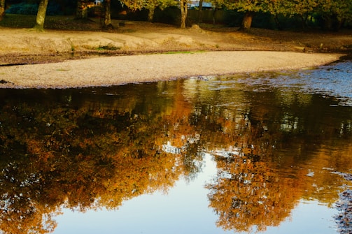 A tranquil river reflecting autumn trees in a Central Asian valley.