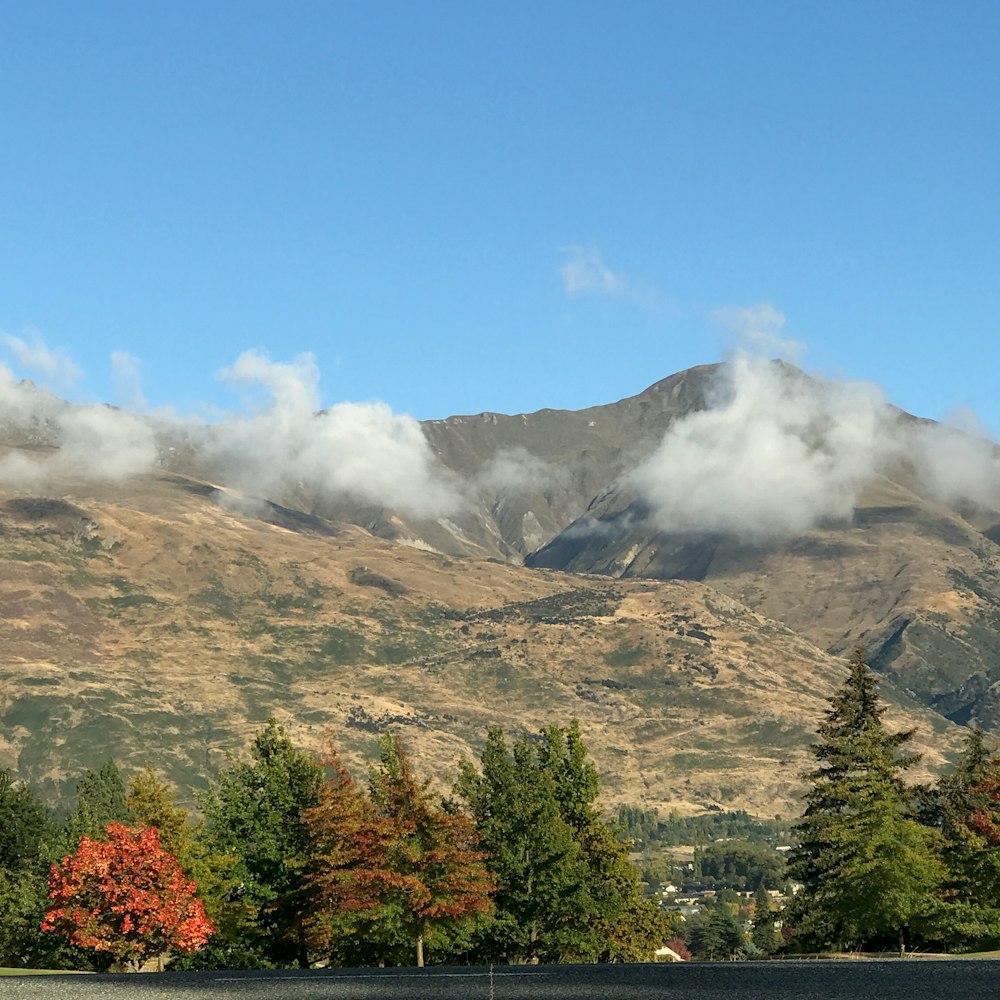 brown and green mountain under blue sky