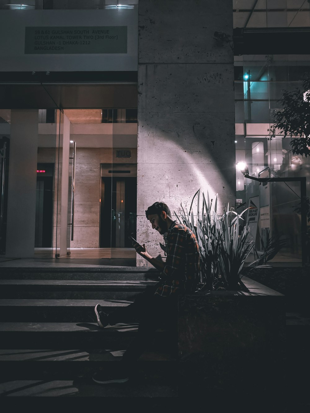 man sitting beside plant using smartphone during nighttime
