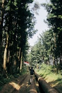 A person walks along a large pipeline in a dense forest, holding a red and white flag. Tall trees line both sides of the path, creating a pattern of light and shadow on the ground.