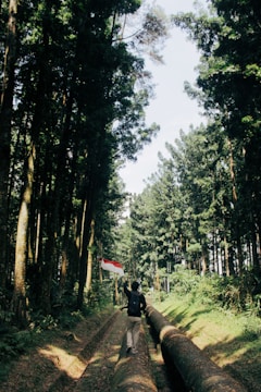 A person walks along a large pipeline in a dense forest, holding a red and white flag. Tall trees line both sides of the path, creating a pattern of light and shadow on the ground.