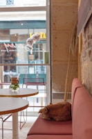 A cozy café interior features a sleeping dog on a pink cushioned bench next to a round white table. A glass container with water and a small green plant sits on the table. The background shows a street view through a large window, revealing a neighboring building with blurred signage.