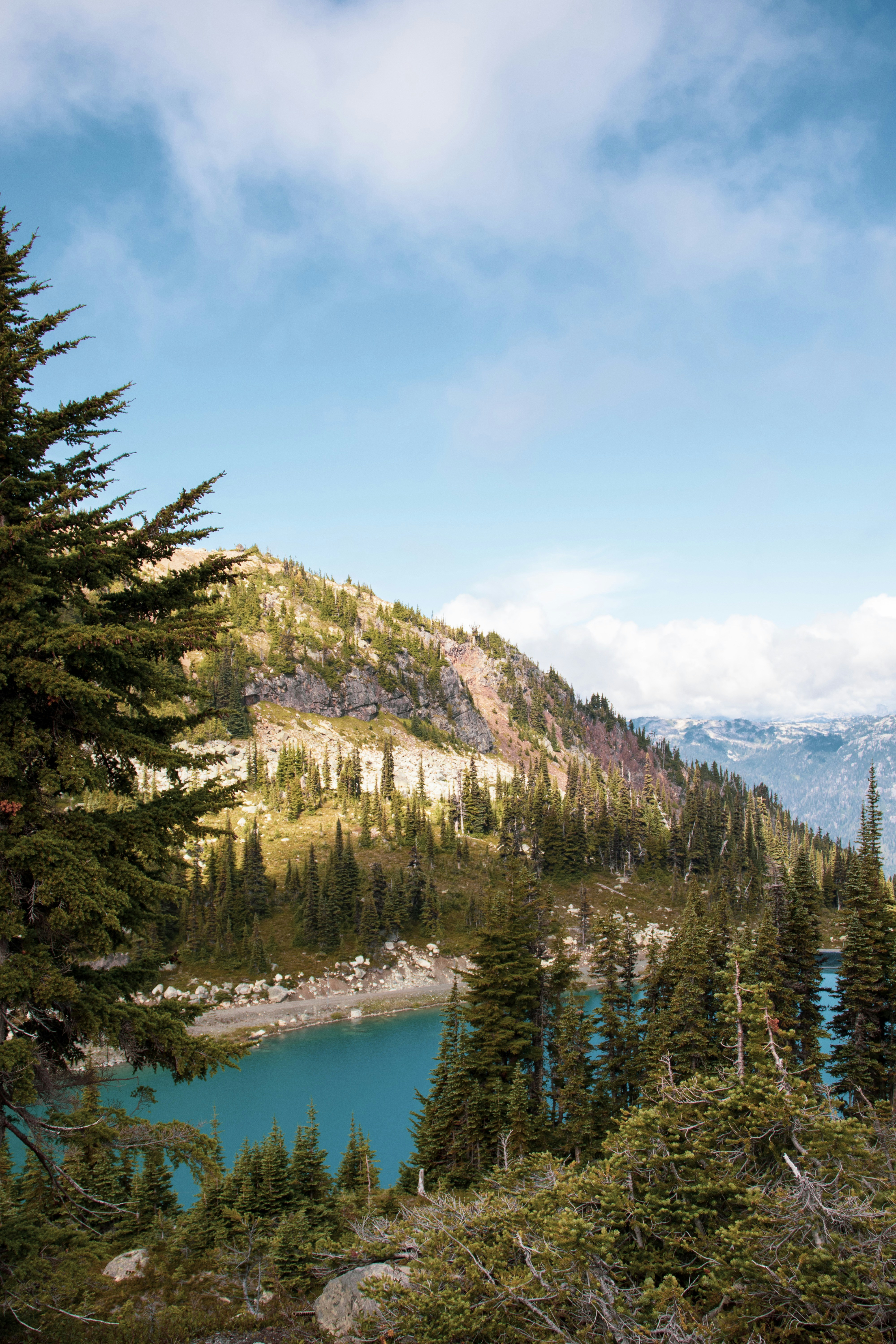 Photo by jakecolling