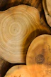brown drift wood