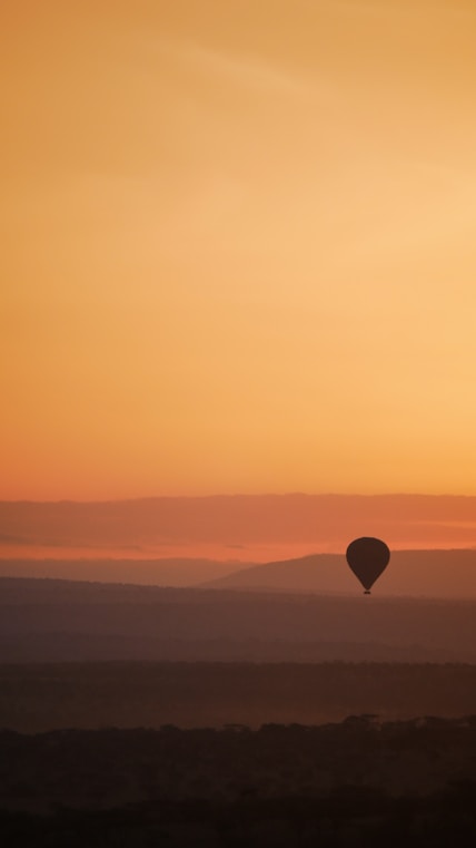 Digital Nomad Safari