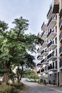 A modern apartment building with multiple balconies lines a cobblestone street. Large, leafy trees create a natural canopy along the sidewalk, offering a contrast between urban and natural elements. The view includes a clear sky and a few parked vehicles in the background.