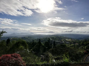 A scenic view of the lush green hills and backwaters that define Travancore's landscape