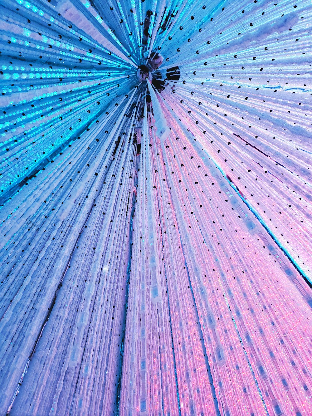 blue and purple textile