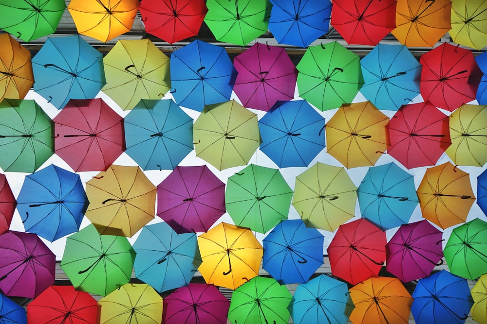 assorted-color umbrellas