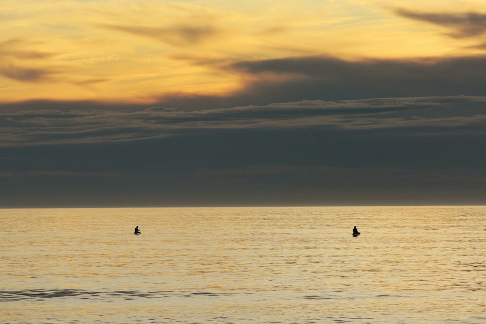 silhouette photo of sea
