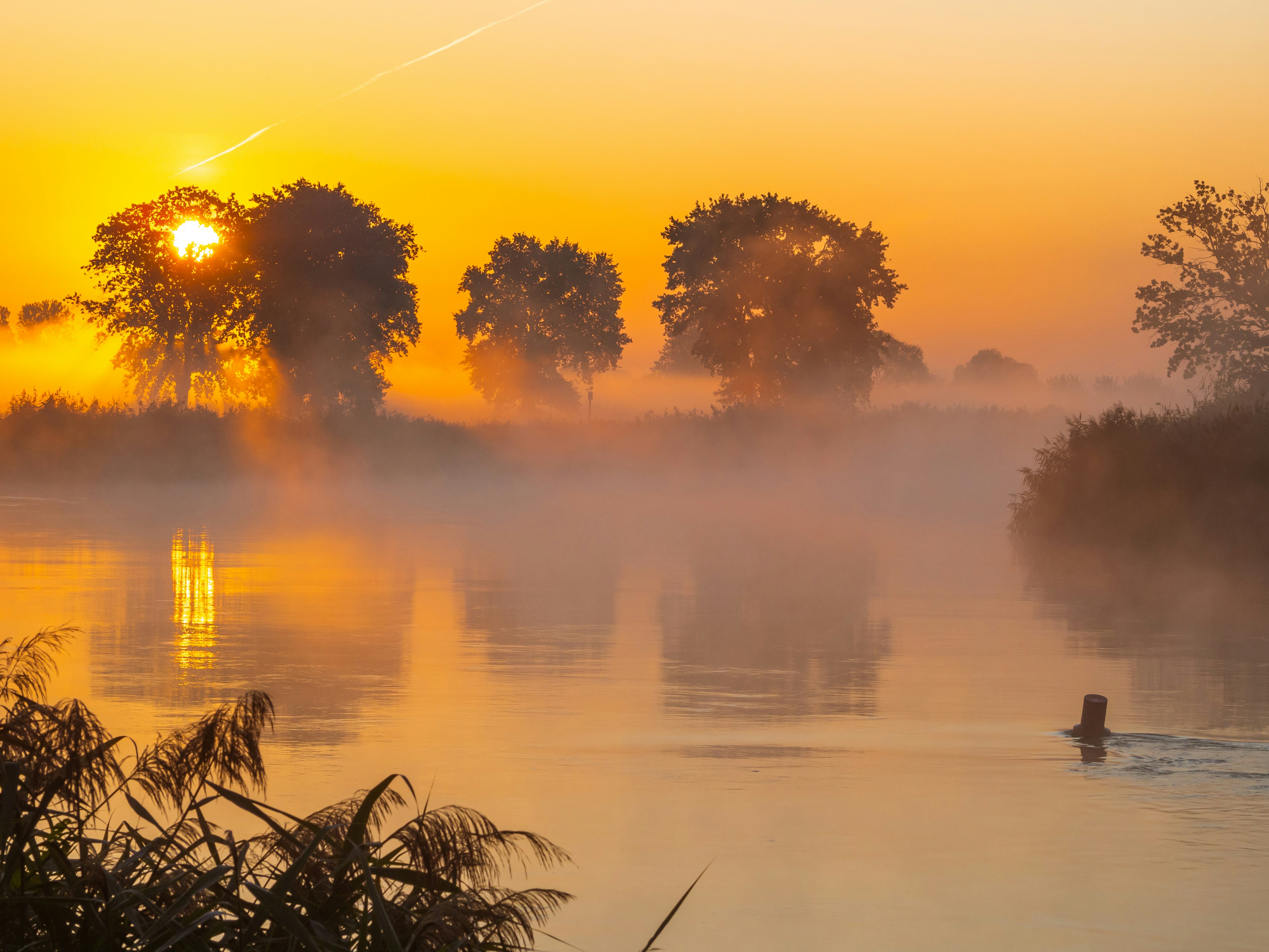 Photo by radek_blackseven