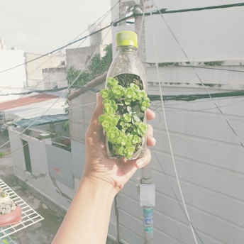 A hand is holding a transparent plastic bottle filled with soil and small green plants, set against an urban backdrop with buildings, wires, and a bright sky.