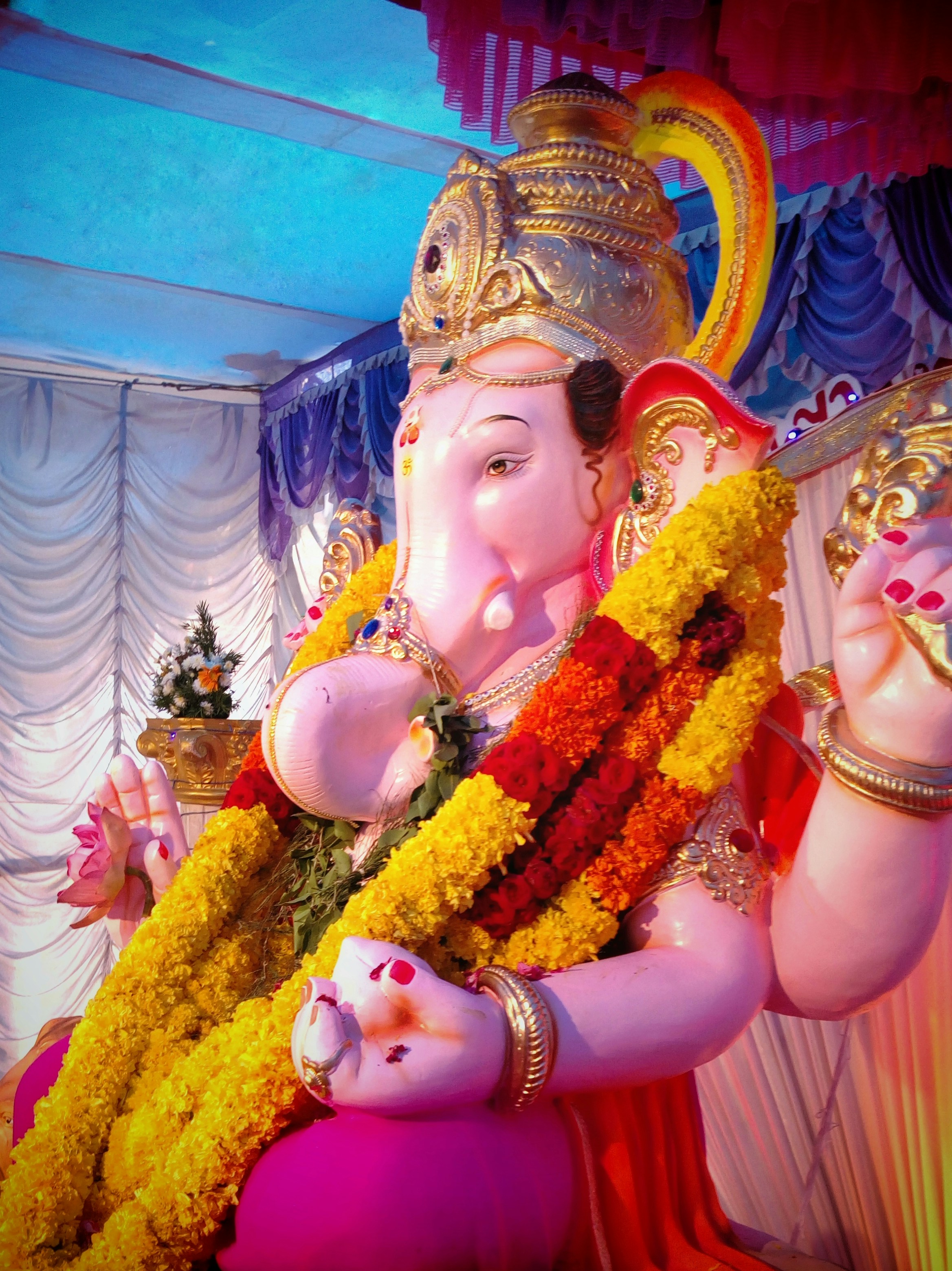 Photo by jadhav24omkar