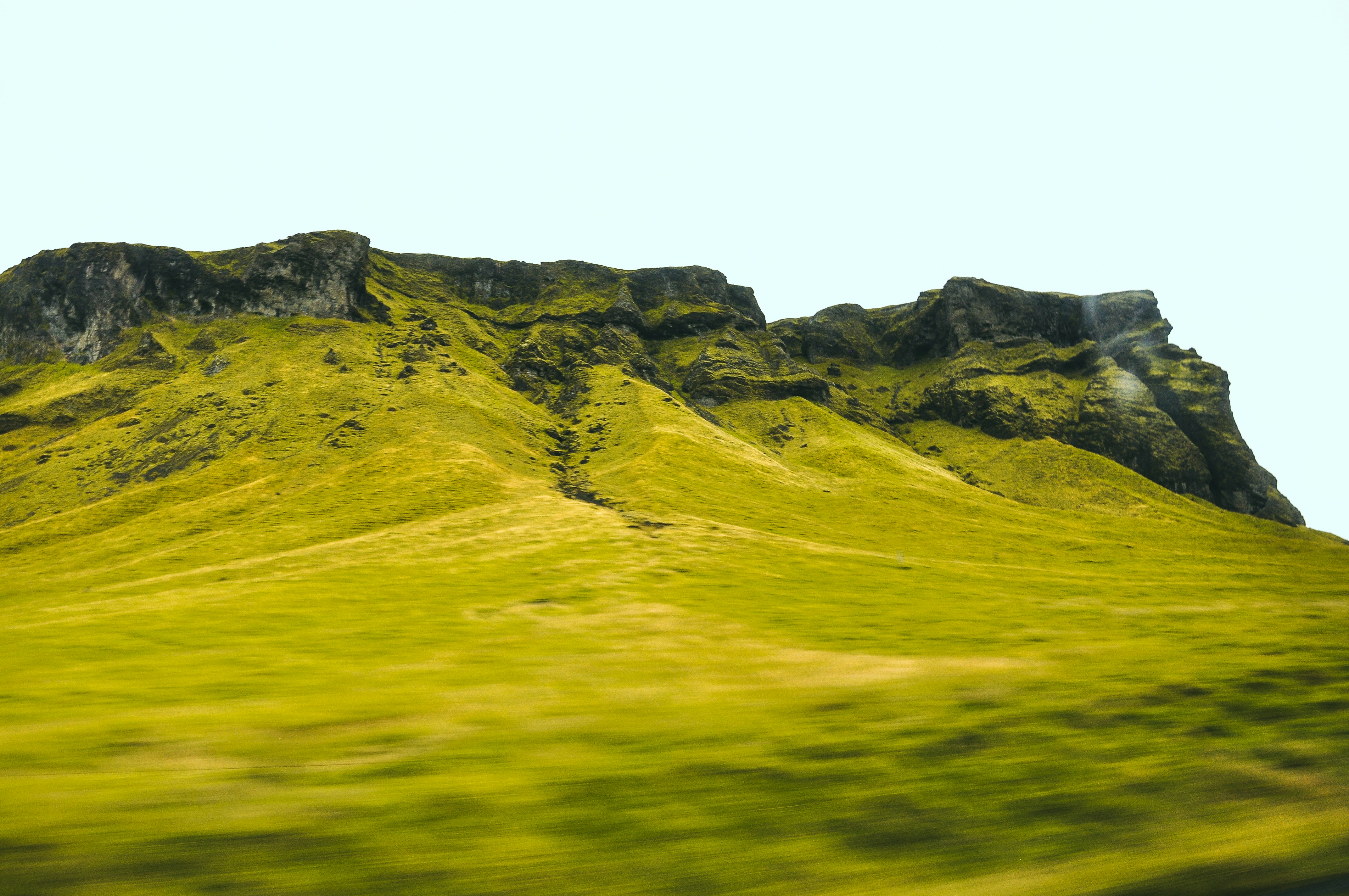green grass field