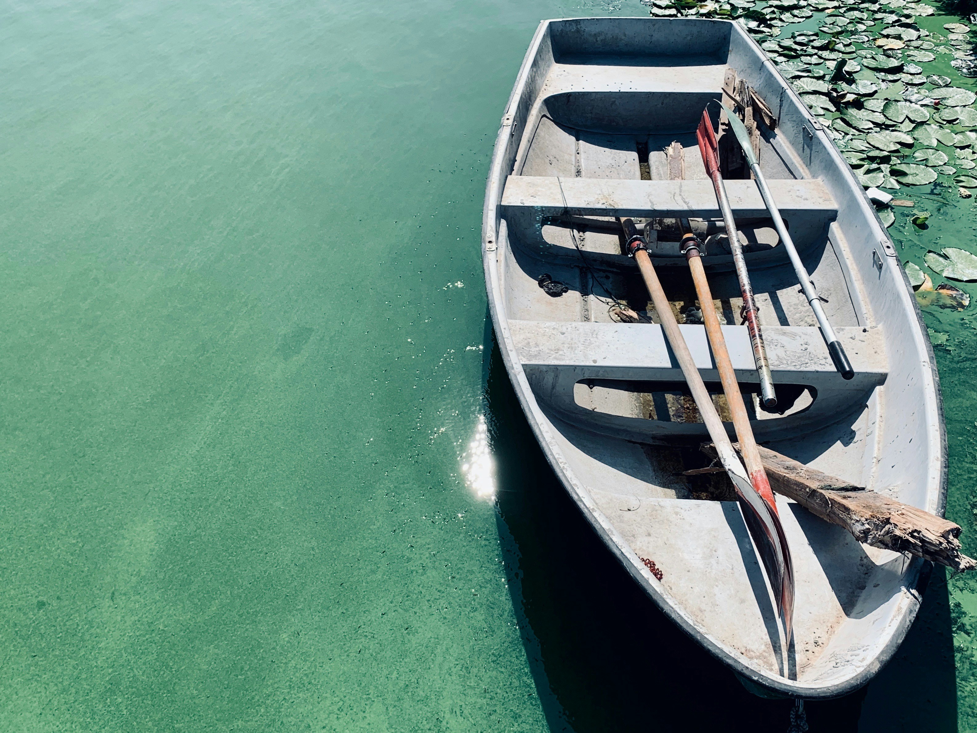 Photo by mnohosmyslov