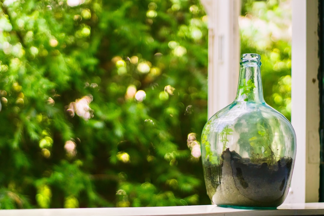 clear glass bottle on window