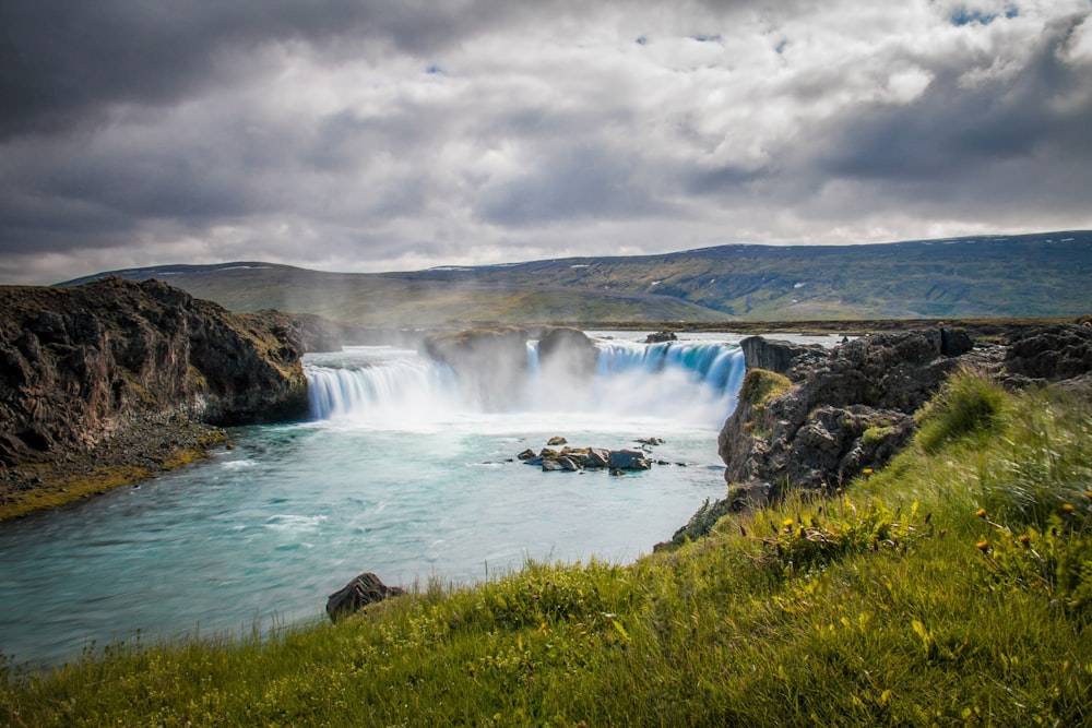 waterfalls beside grasses