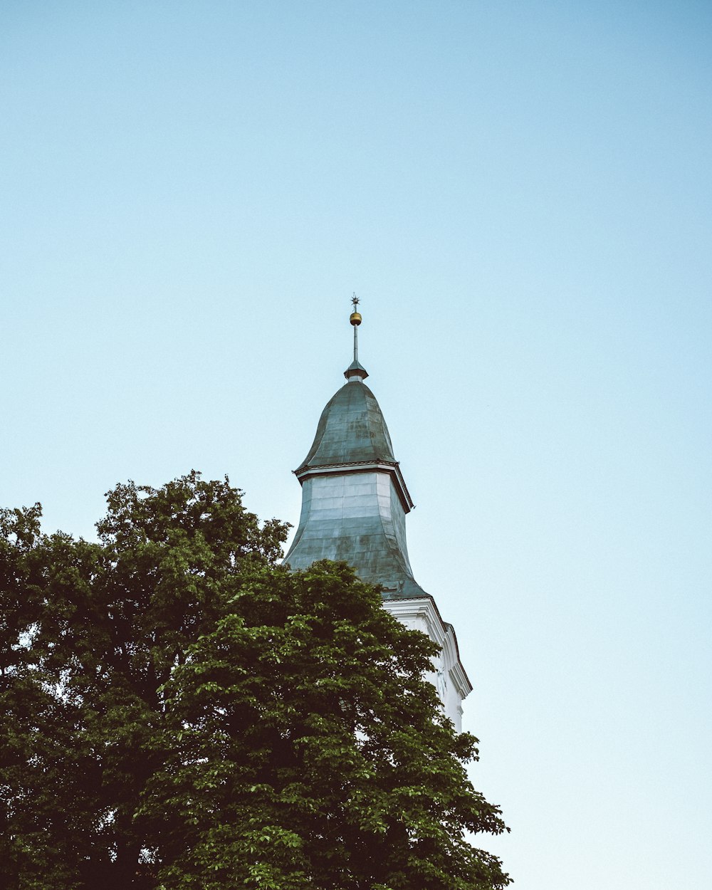 green leafed trees near white building