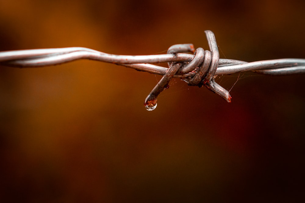 gray wire fence