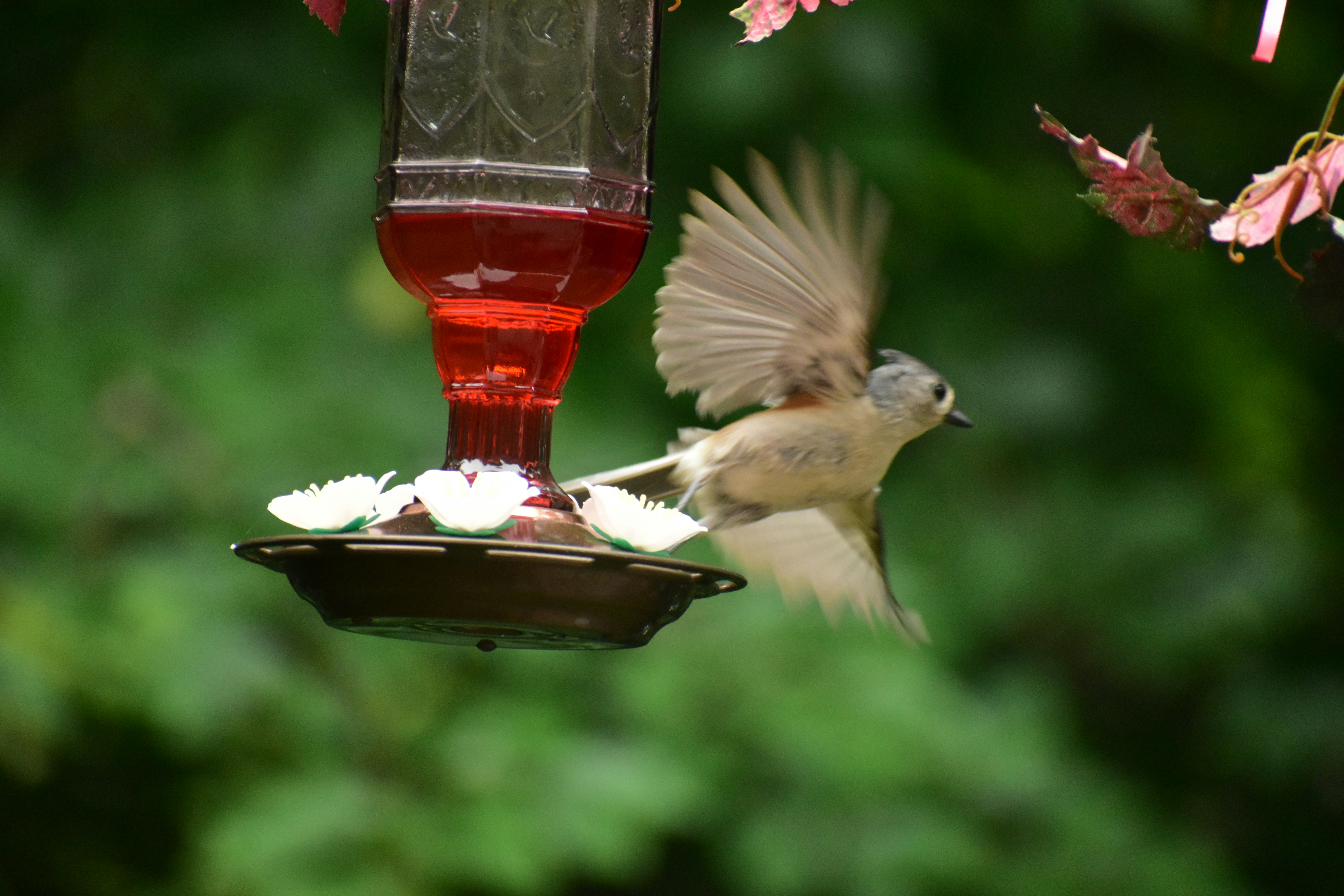 Photo by graysonsmith_photography