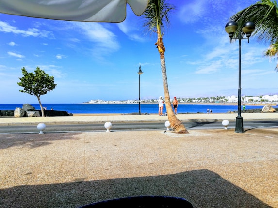 A coastal promenade scene featuring a clear blue sky and vibrant blue ocean. Palm trees and street lamps line the walkway, with a few people walking and enjoying the seaside view. A distant view of buildings can be seen across the water.