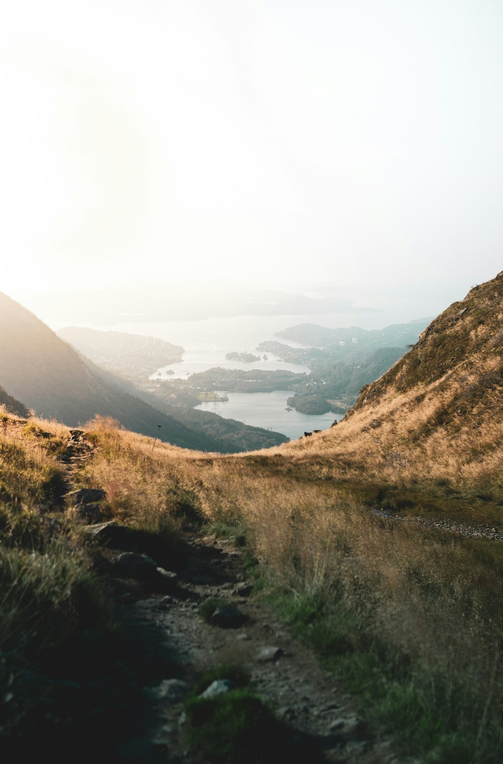 a grassy hill with a body of water in the distance