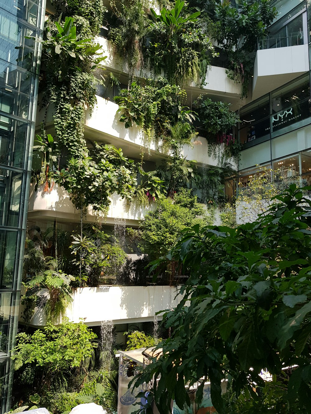 green plants on building