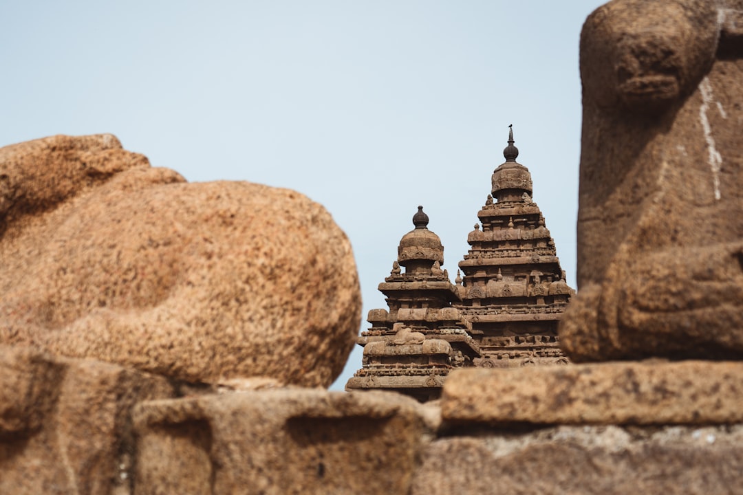 Historic site photo spot Group of Monuments at Mahabalipuram India