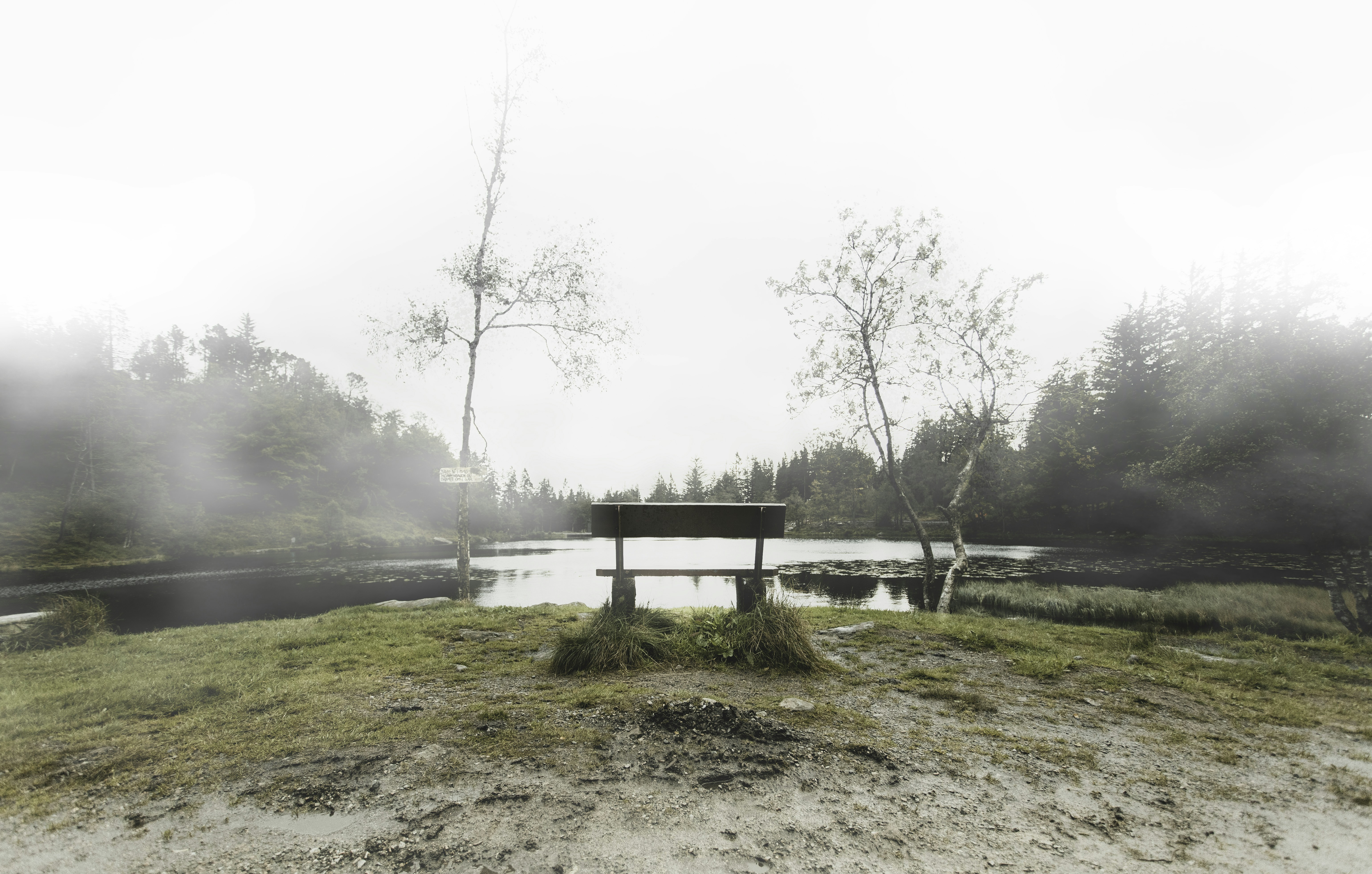 banc en bois brun près du lac